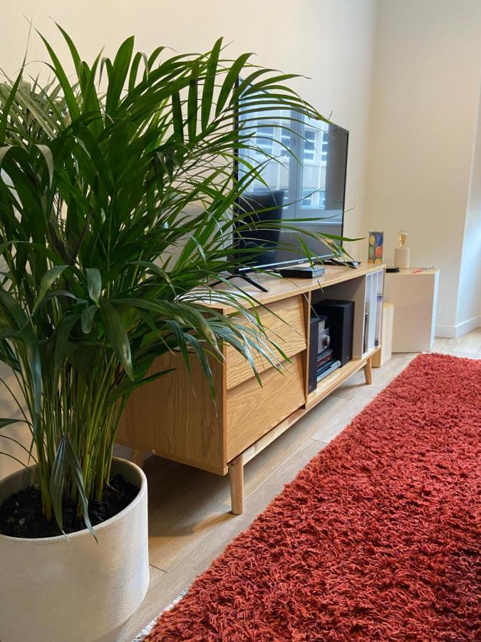 La Palmeraie - Appartement Classe 4 Etoiles - Hyper Centre Ville Quimper Eksteriør billede